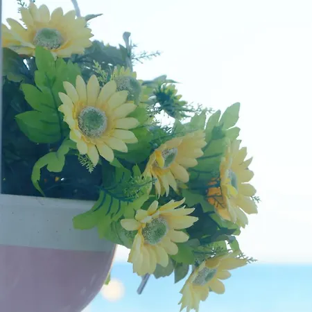 Apartamento Il Balcone Sul Mare Torino di Sangro